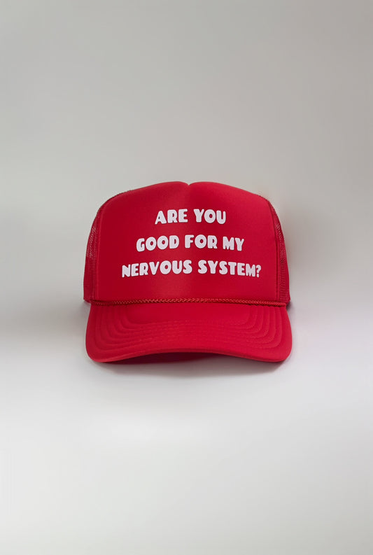 ARE YOU GOOD TRUCKER HAT